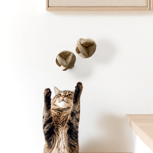 Balles naturelles pour chats, set de 2 | MATT™