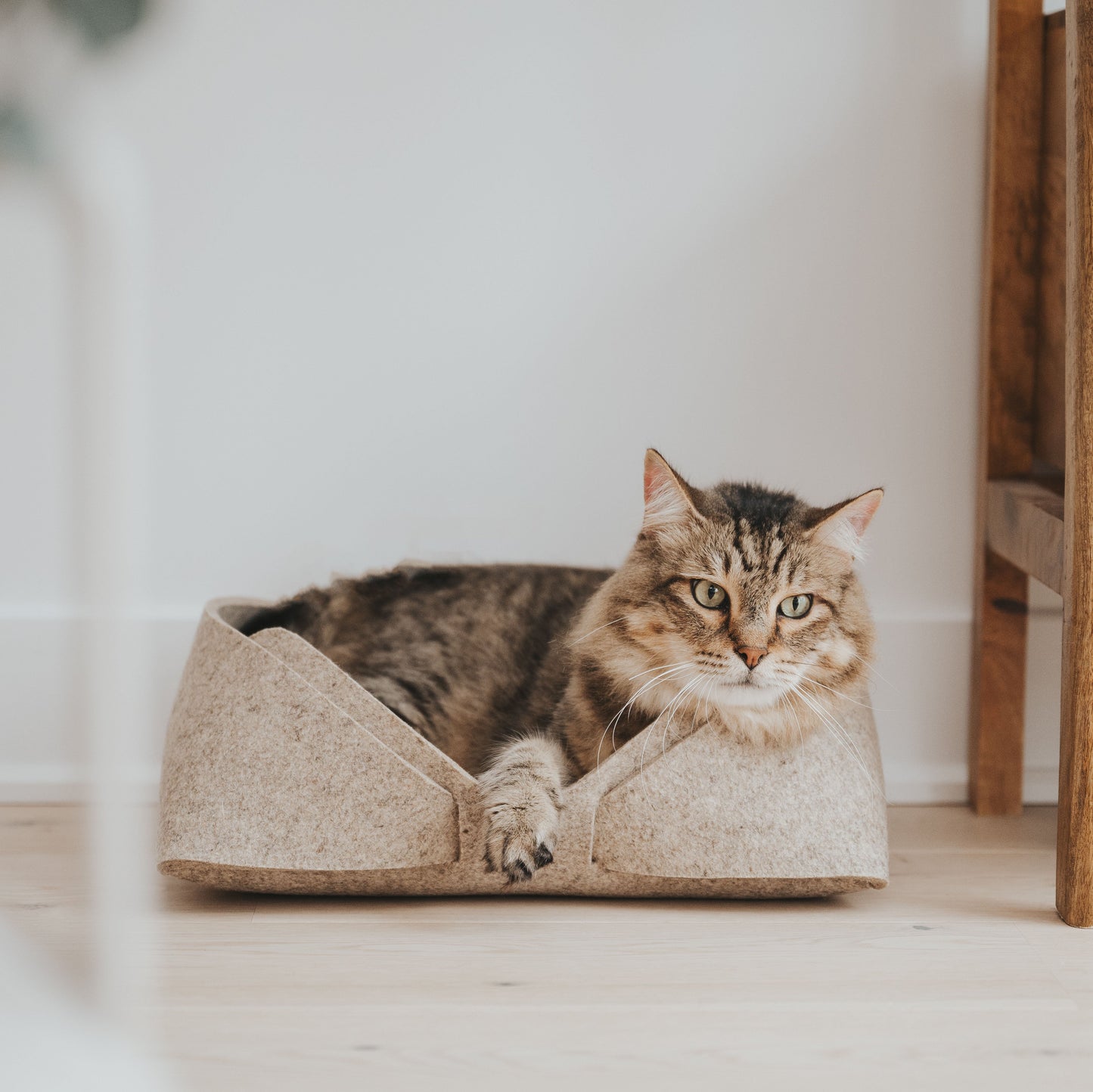 smallmodernnaturalpetbedpetmattaupewithcatlifestyle