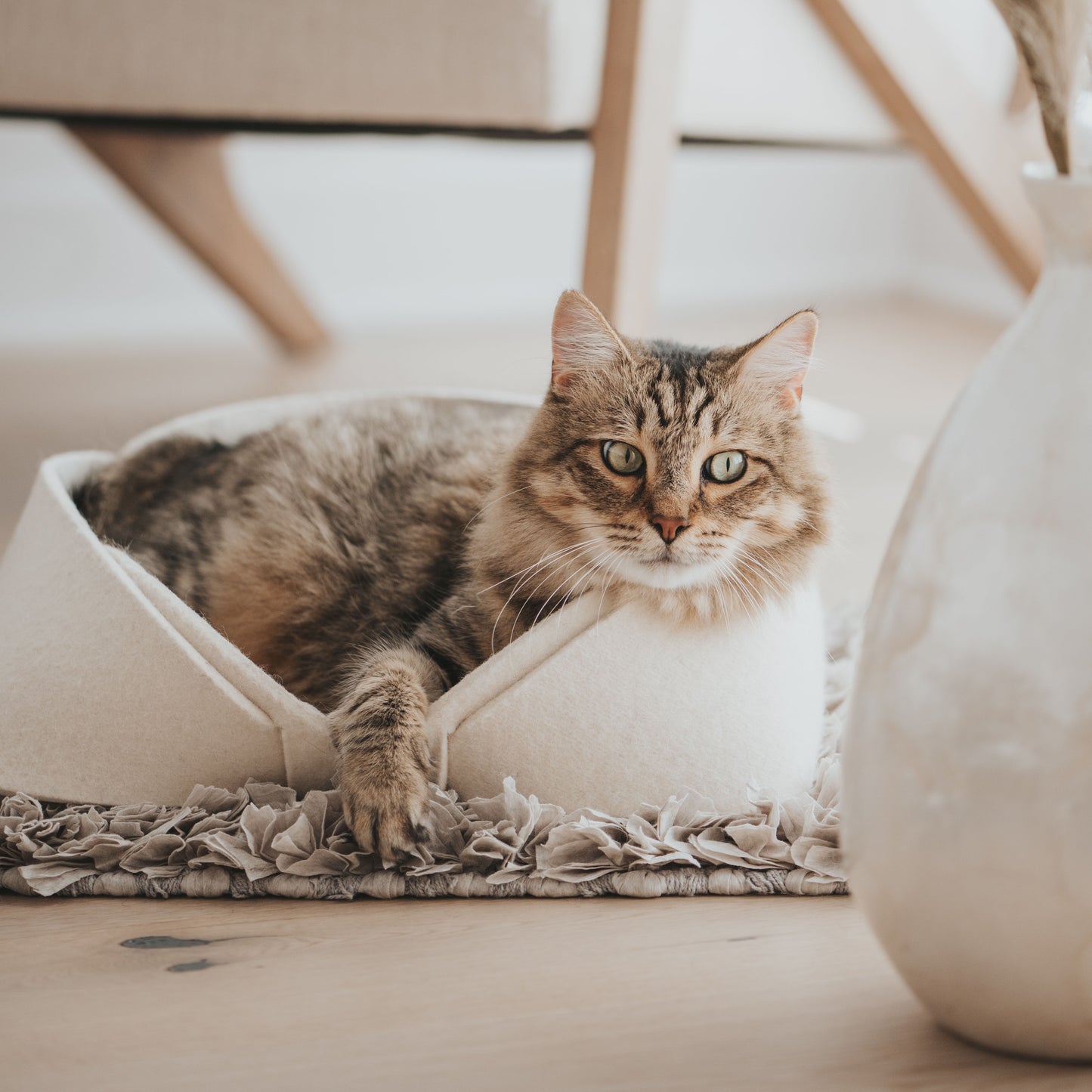 smallmodernnaturalpetbedpetmatoatwithcatlifestyle