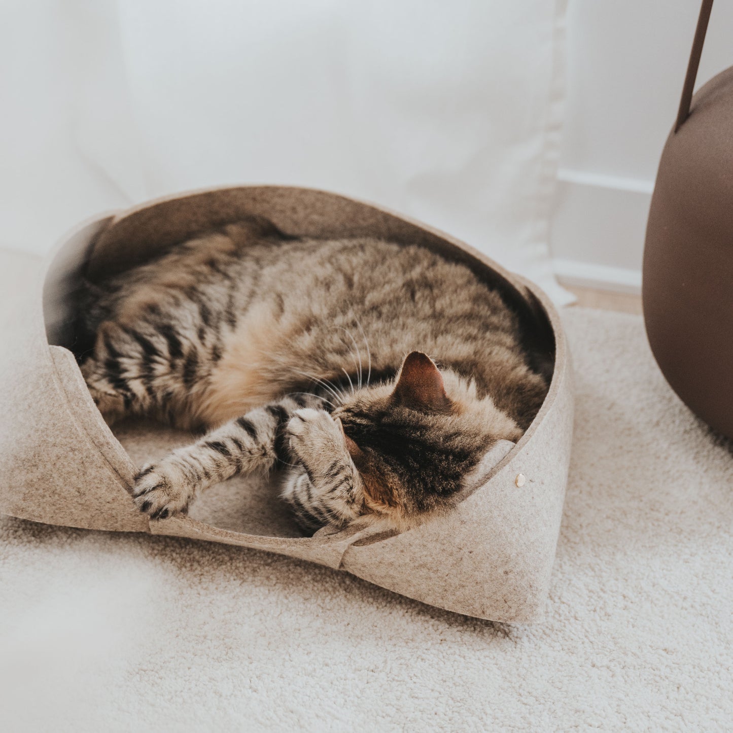 standardmodernnaturalpetbedpetmattaupewithcatlifestyle