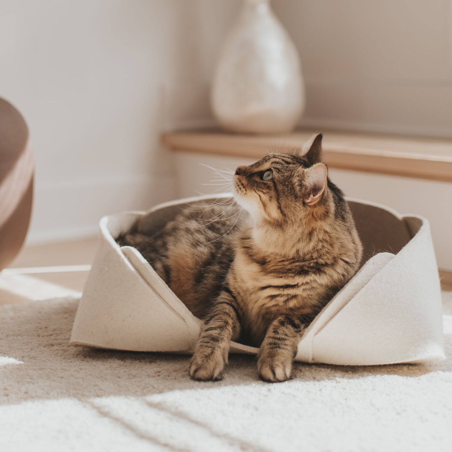 standardmodernnaturalpetbedpetmatoatwithcatlifestyle