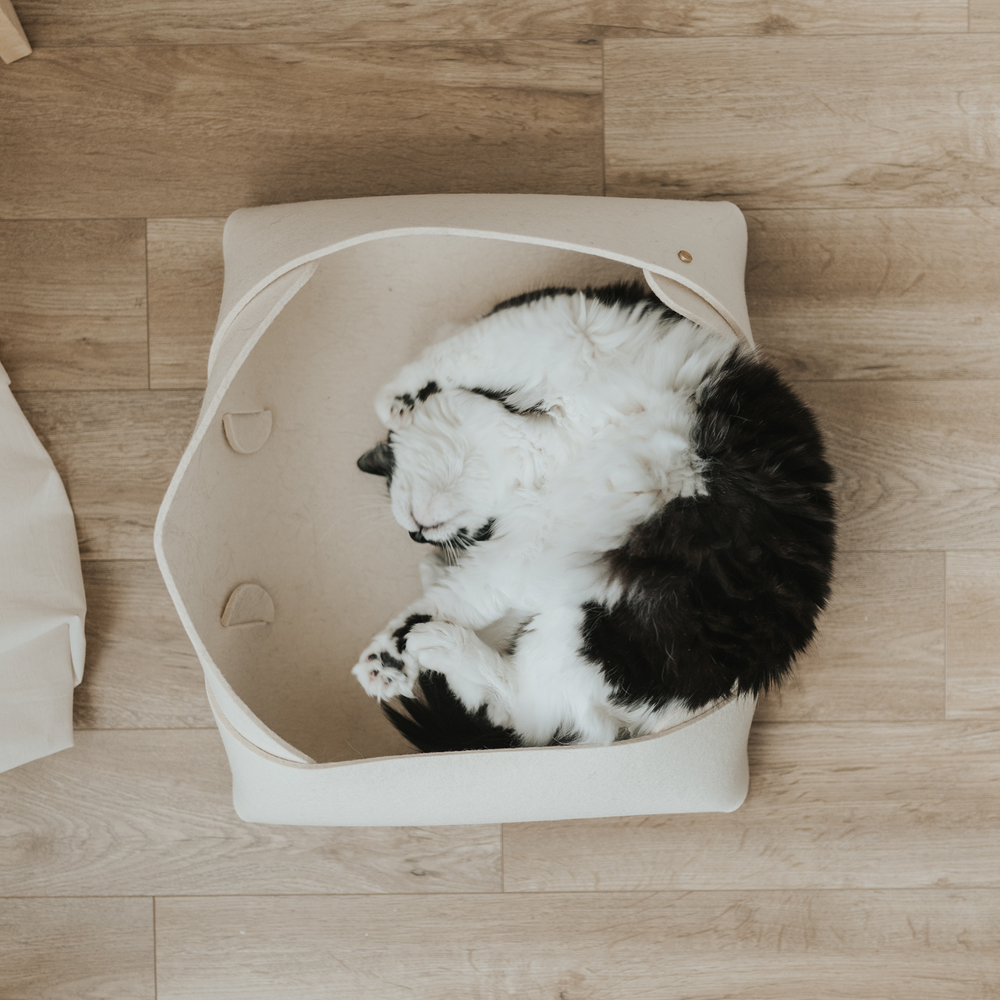 Pourquoi le feutre de laine haute densité est-il sûr pour les animaux?