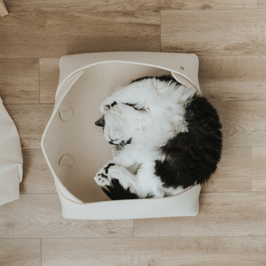 Pourquoi le feutre de laine haute densité est-il sûr pour les animaux?